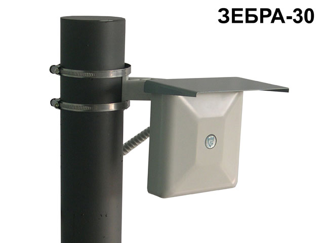 Охранные радиоволновые однопозиционные извещатели ЗЕБРА-30